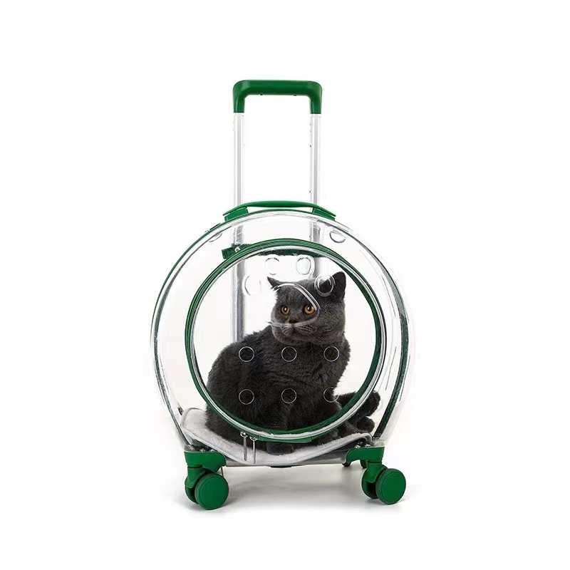 https://www.dwluggage.com/pet-travel-carrier-for-small-medium-dogscats- fully-transparent-product/