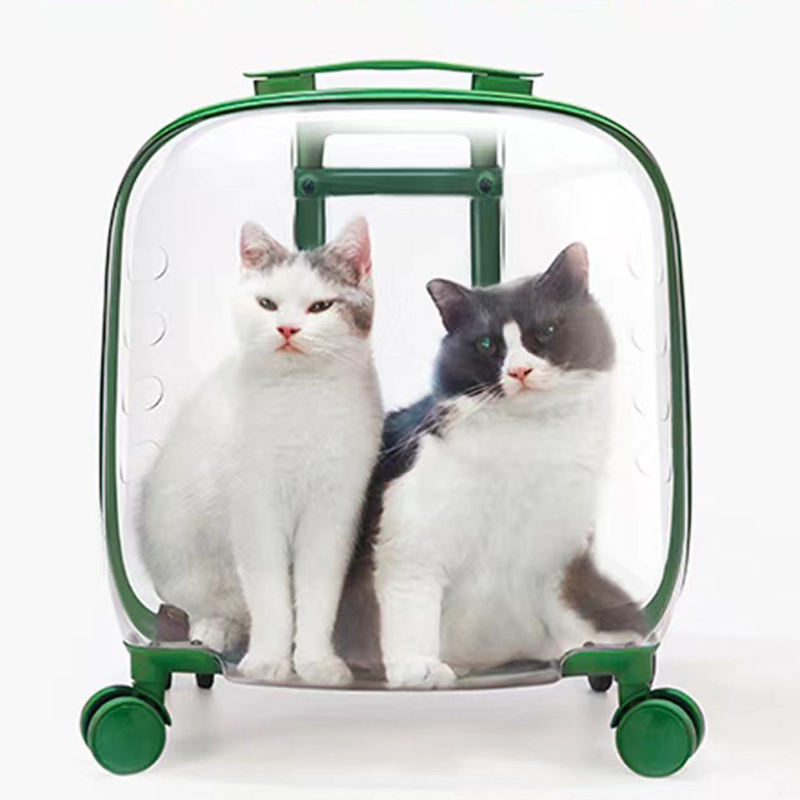 bolsa de viagem gato